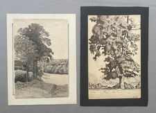 Alberi, due disegni a