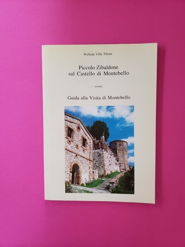 Piccolo zibaldone sul castello - piccolo,