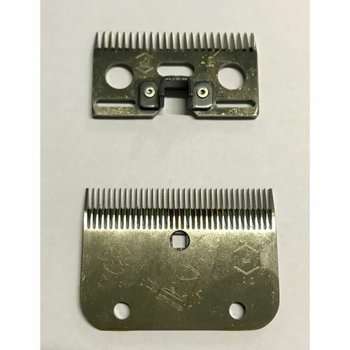Set pettini per - set,