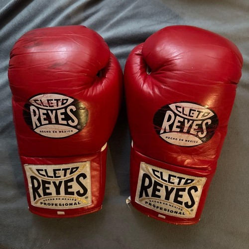 Guantoni boxe professionali - da,