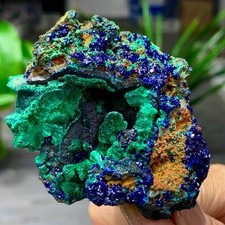 120G MIGLIORI esemplari di