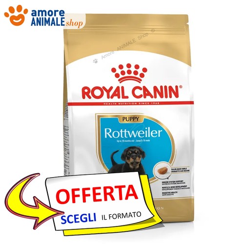 Royal canin dog puppy - dog,
