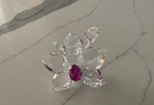 Collezione cristalli swarovski - collezione,