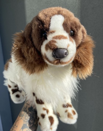 Douglas cuddle english - douglas,