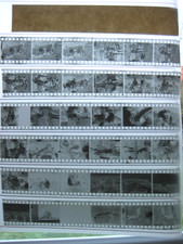 Lotto negativi fotografici RDT