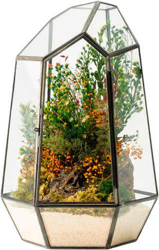 Terrario stabilizzato hyde - stabilizzato,