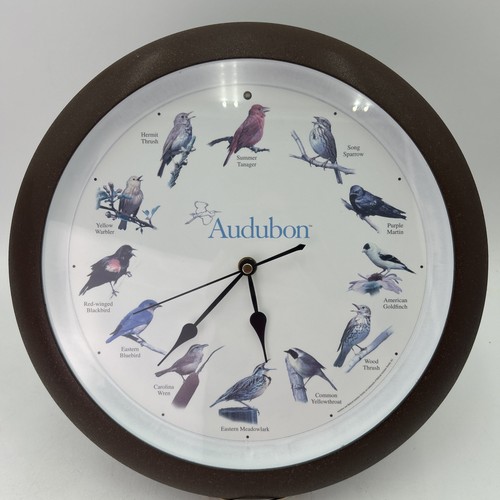 Orologio parete audubon - orologio,