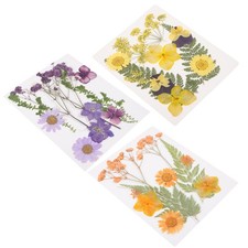 3 set di fiori secchi