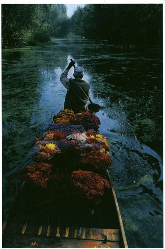 Carte postale dal lake - carte, kashmir