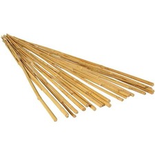 50 Canne di Bamboo per orto 90