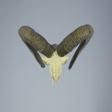 765MU Trofeo di caccia di