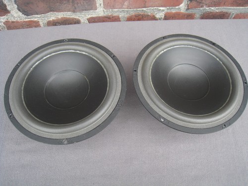 Dynaudio 06 bordatura - dynaudio, 21