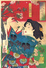 Tsukioka Yoshitoshi - Ramo di