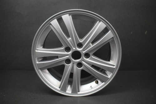 Mgf 2024 altro pezzo - mg,