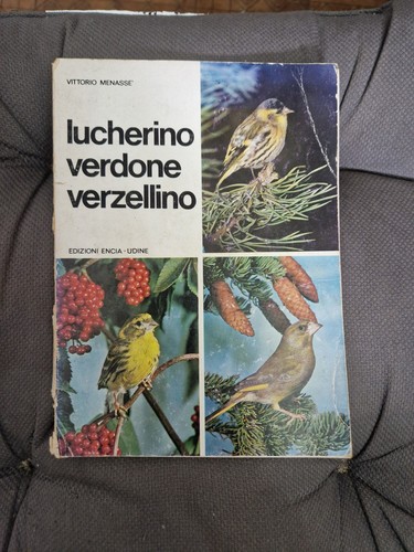 Lucherino verdone verzellino - lucherino,