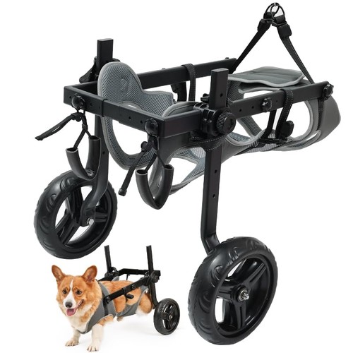 Sedia rotelle leggera - a,