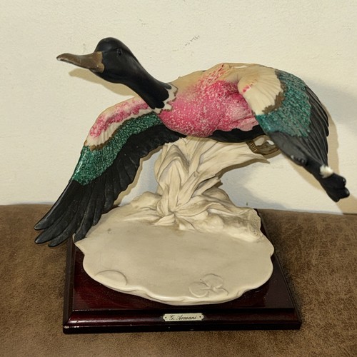Giuseppe armani mallard - giuseppe, anatra