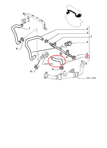 Manicotto flessibile radiatore - manicotto,