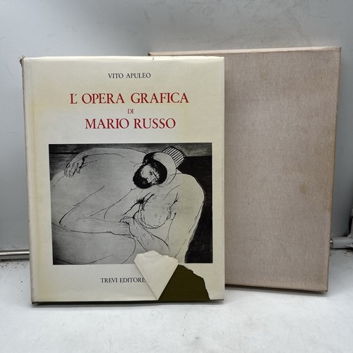Opera grafica mario russo - l'opera, di