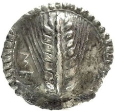 LUCANIA (Metaponto) Rare Silver NOMOS