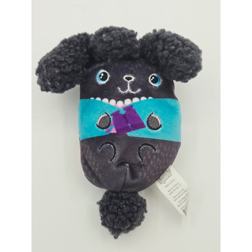 Cani squirls linda il - squirls,