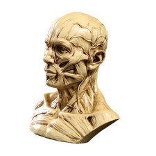 4'' Statua Busto In Resina