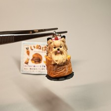 Miniatura YORKSHIRE TERRIER
