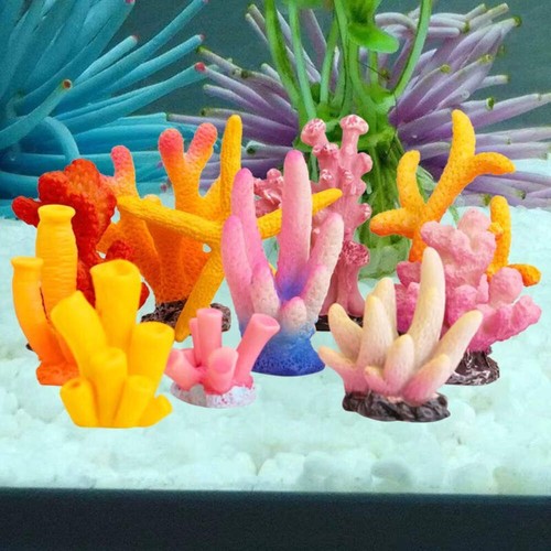 Mini acquario decorazioni - mini,