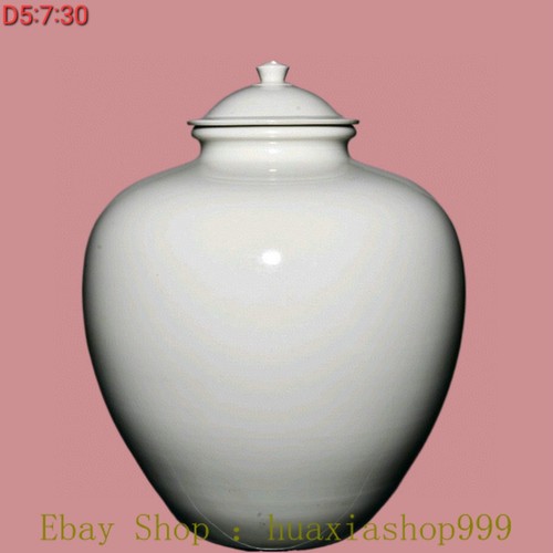 Contenitore serbatoio vaso