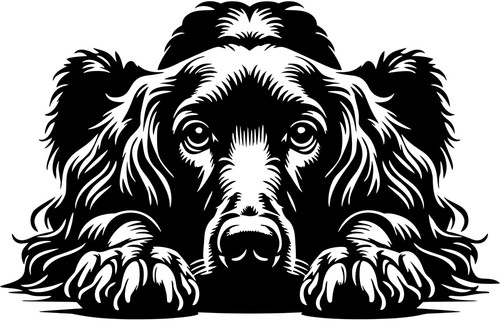 Adesivo irish setter - setter,