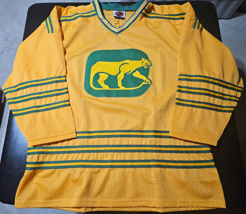 Maglia hockey vintage wha - hockey,