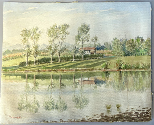 Disegno acquerello cartoncino - disegno,