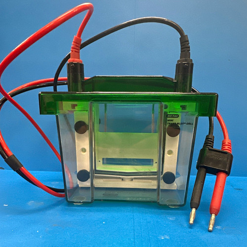 Bio rad mini - mini, trans-blot