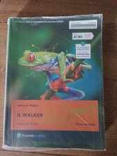 IL WALKER - CORSO DI FISICA -