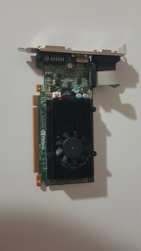 Dell nvidia geforce - dell,