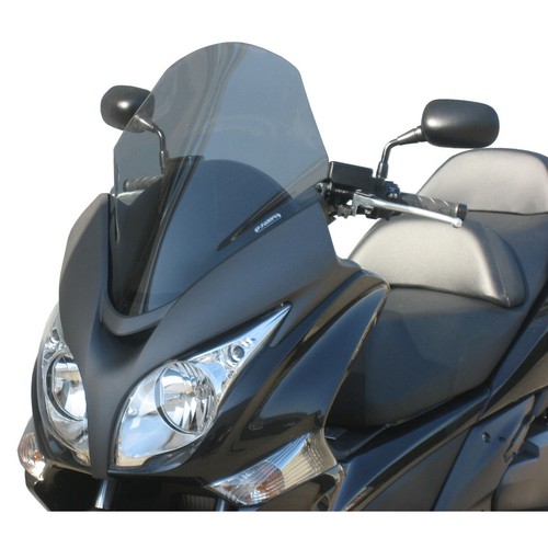 Parabrezza fabbri fume chiaro - fume,