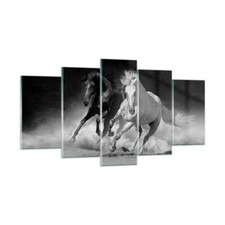 Quadro su Vetro 160x85cm