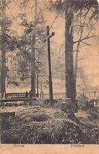 L076 Ucraina Tartak 1916 Cimitero WWI cartolina da campo