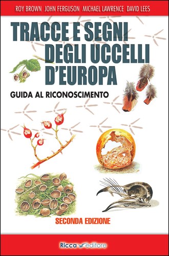 Tracce segni degli - tracce,