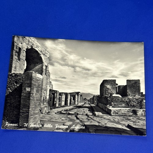 Tempio della fortuna - il,