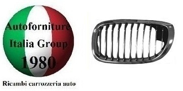 Griglia radiatore tutta - radiatore,