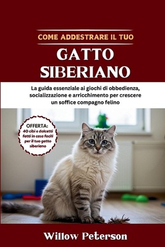 Come addestrare tuo gatto - come,