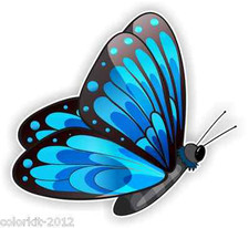 Adesivo per auto e moto