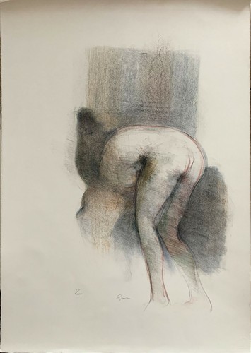 Giuseppe ajmone litografia - giuseppe,