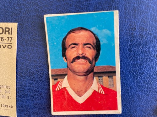 Edis 1976 perugia - 1976/77,