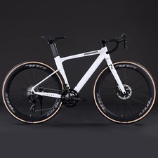 Bici da strada piccione