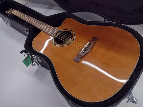 Chitarra elettrica acustica