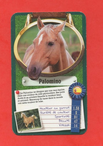 Top trumps cavallo pony - top,