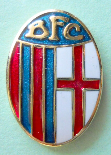 Distintivo spilla pin badge - distintivo,