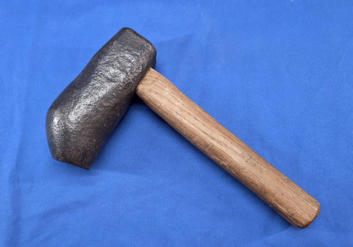 Testa cane seghetto - cane,